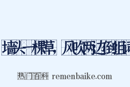 墙头一棵草，风吹两边倒组词是什么意思的图片